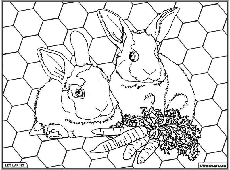 TABLEAU VELOURS LES LAPINS