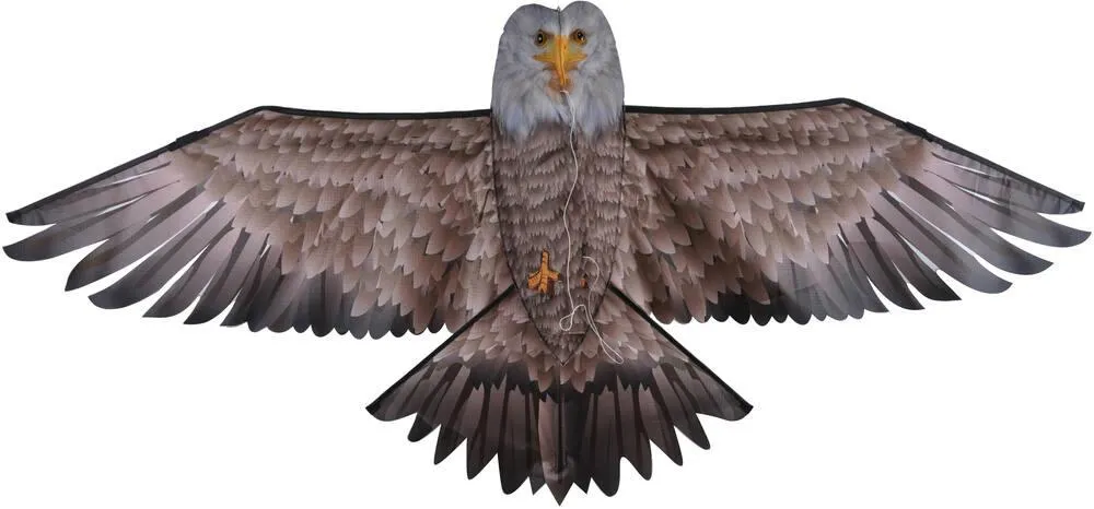CERF VOLANT AIGLE