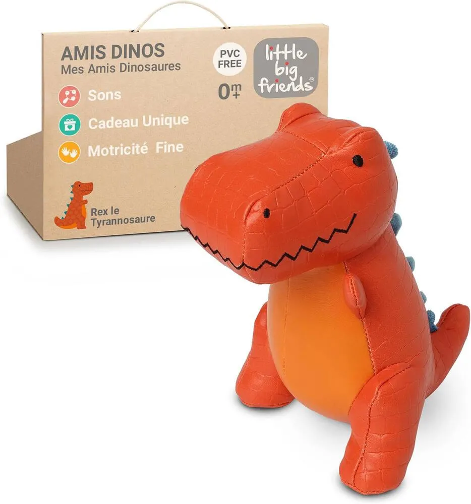 LES AMIS DINOS - REX LE TYRANNOSAURE