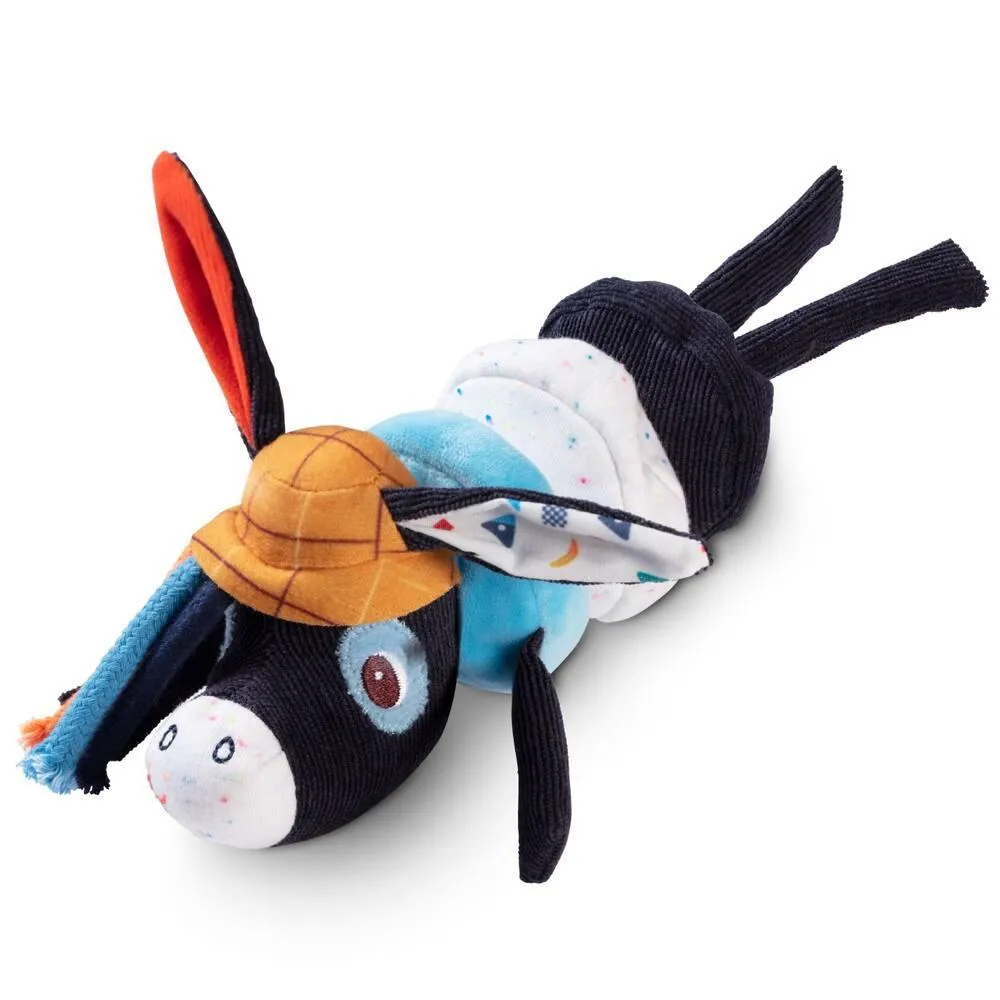 HOCHET IGNACE MINI-DANSANT