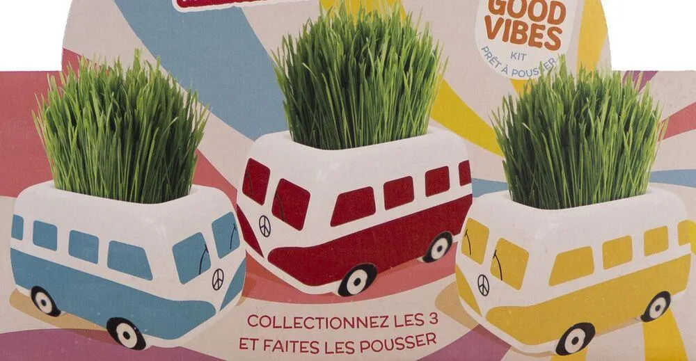 DROLES DE POTS : BARQUETTE VANS