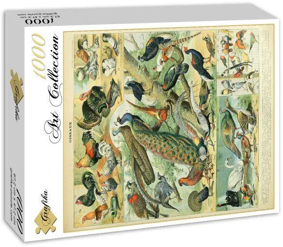 ILLUSTRATION DU NOUVEAU LAROUSSE ILLUSTRE : OISEAUX , XIXE SIECLE