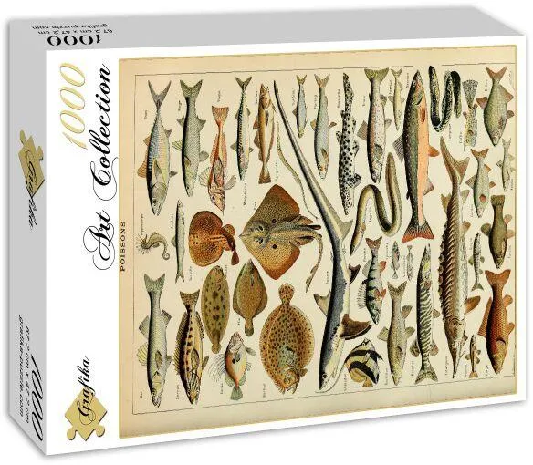 ILLUSTRATION DU LAROUSSE POUR TOUS : POISSONS , XIXE SIECLE