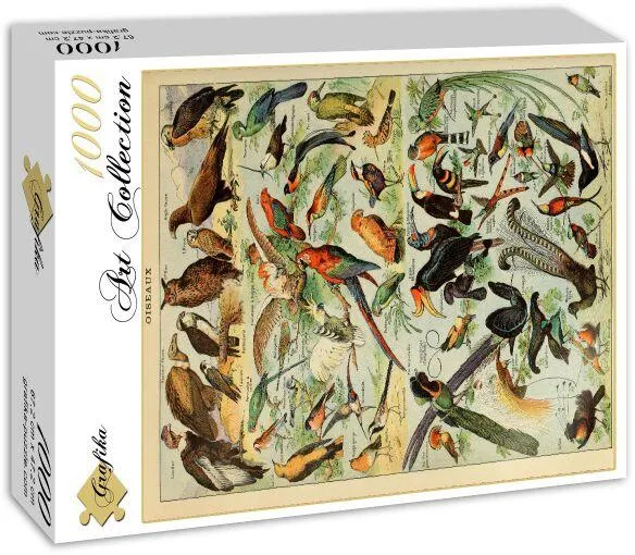 ILLUSTRATION DU LAROUSSE POUR TOUS : OISEAUX , XIXE SIECLE