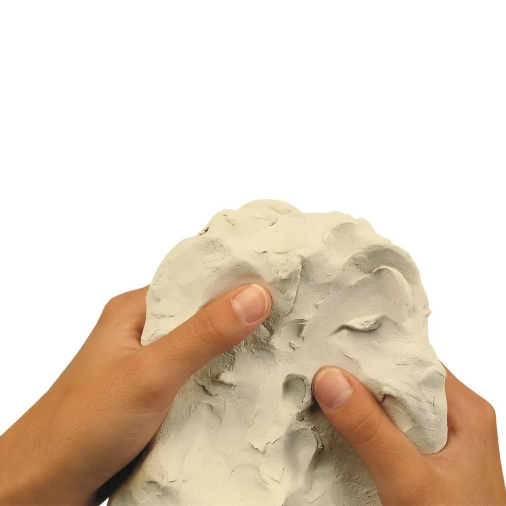 RECHARGE D'ARGILE BLANCHE 1 KG