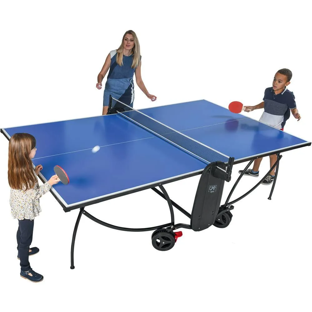 TABLE DE PING-PONG