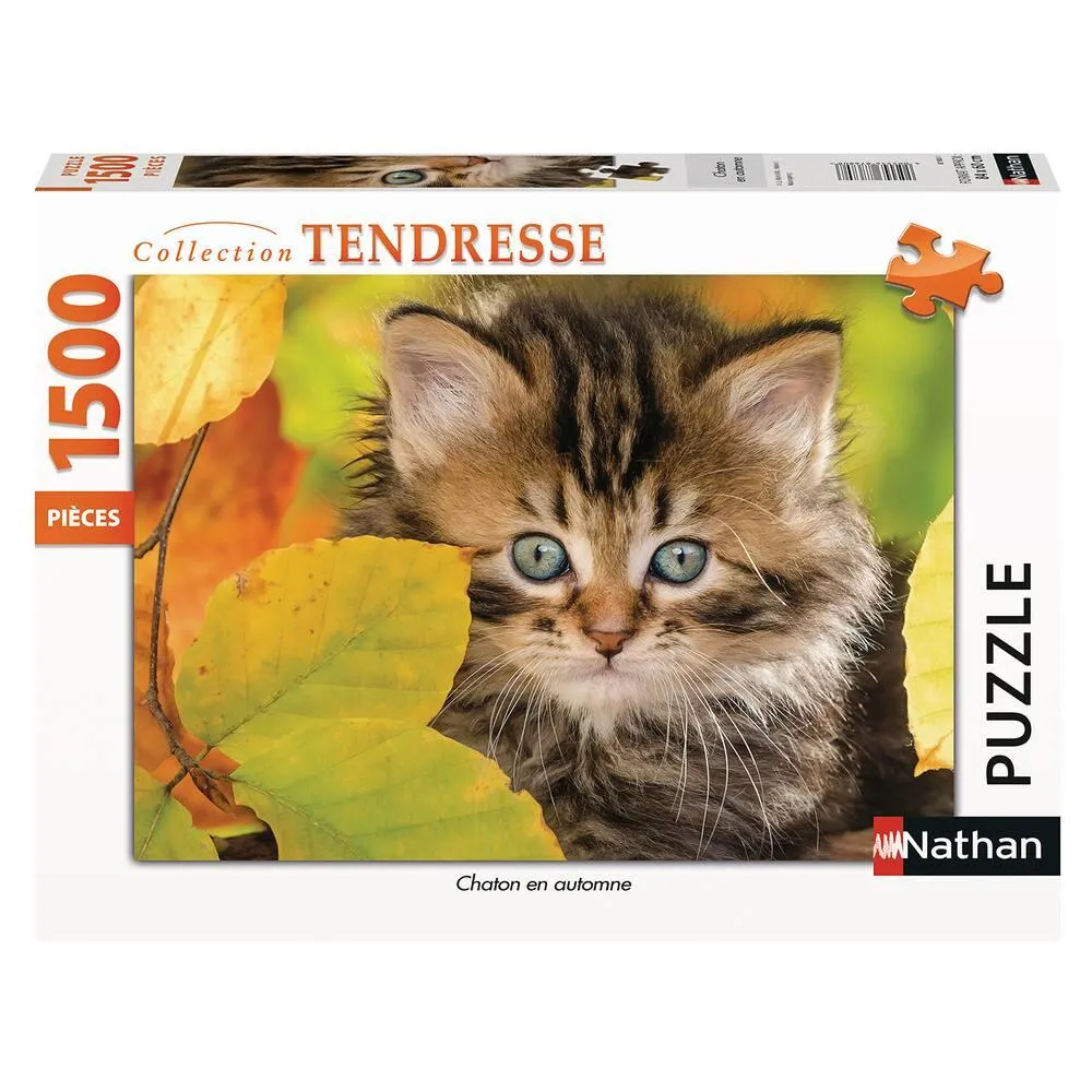 PUZZLE 1500 PIECES - CHATON EN AUTOMNE