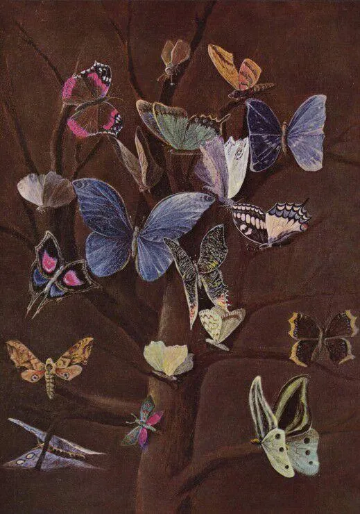 WILHELM VON KAULBACH : SCHMETTERLINGE, 1860