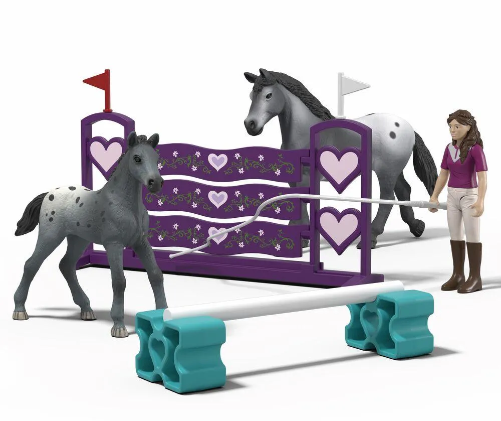 FIGURINE - L’ENTRAINEMENT AU TOURNOI DE LISA