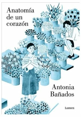 Anatomia de un corazon