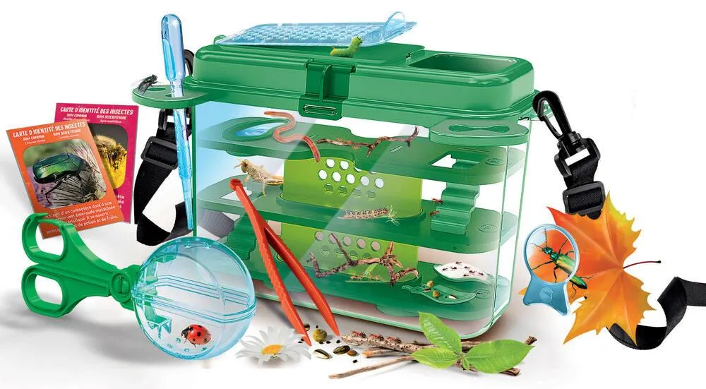 LA MAISON DES INSECTES