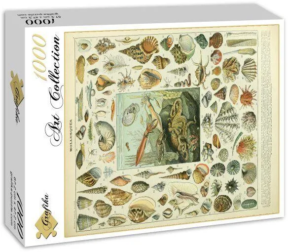 ILLUSTRATION DU NOUVEAU LAROUSSE ILLUSTRE : MOLLUSQUES , XIXE SIECLE