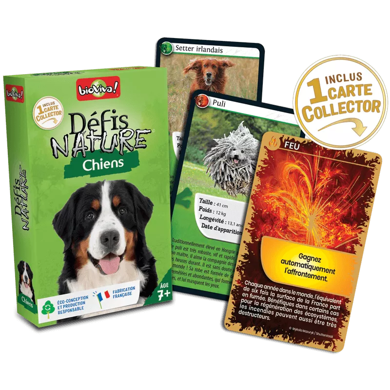Défis Nature - Chiens