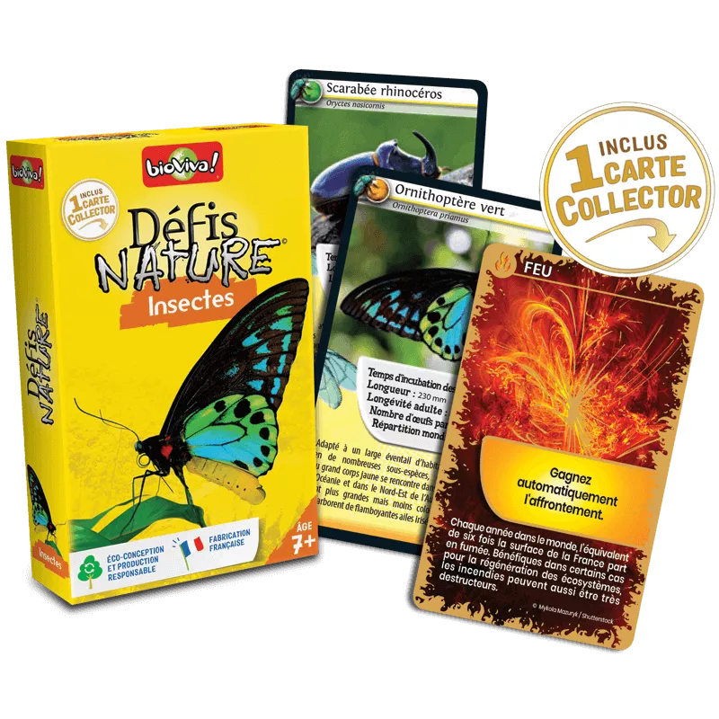 Défis Nature - Insectes