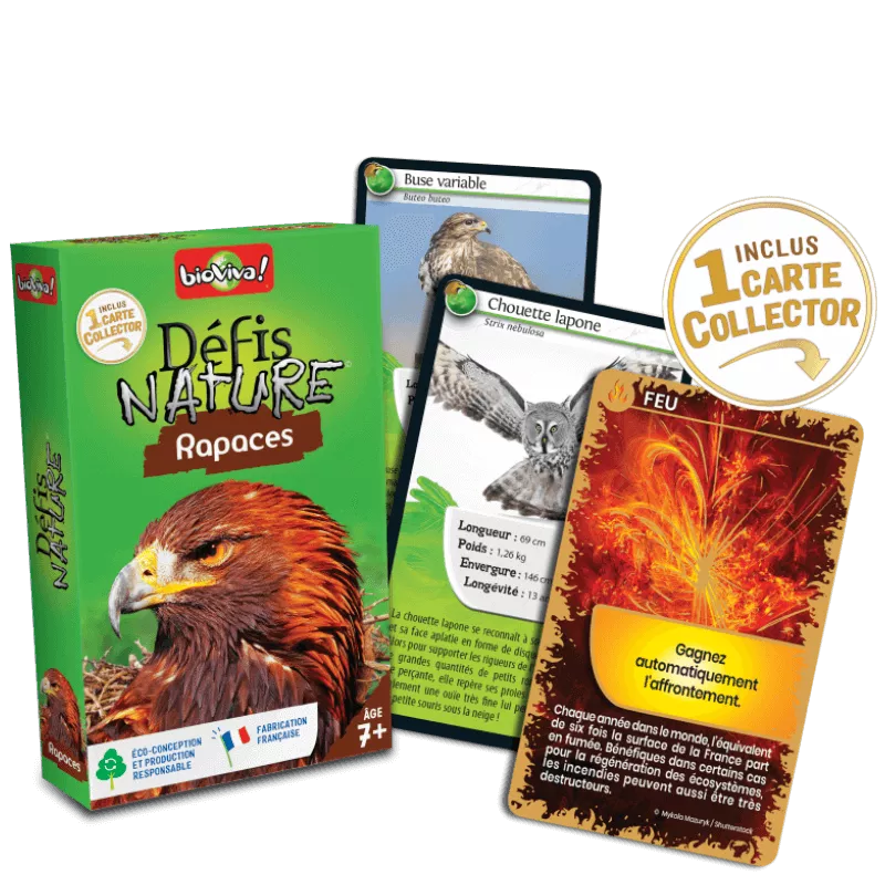 Défis Nature - Rapaces