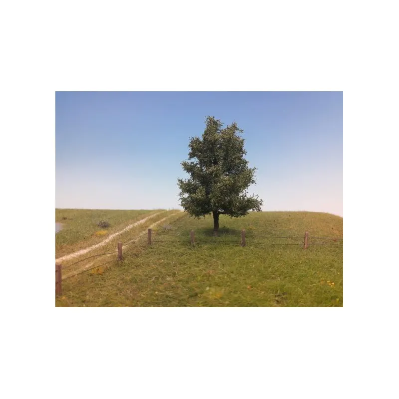 Peuplier, en été. MININATUR - SILHOUETTE 215-42