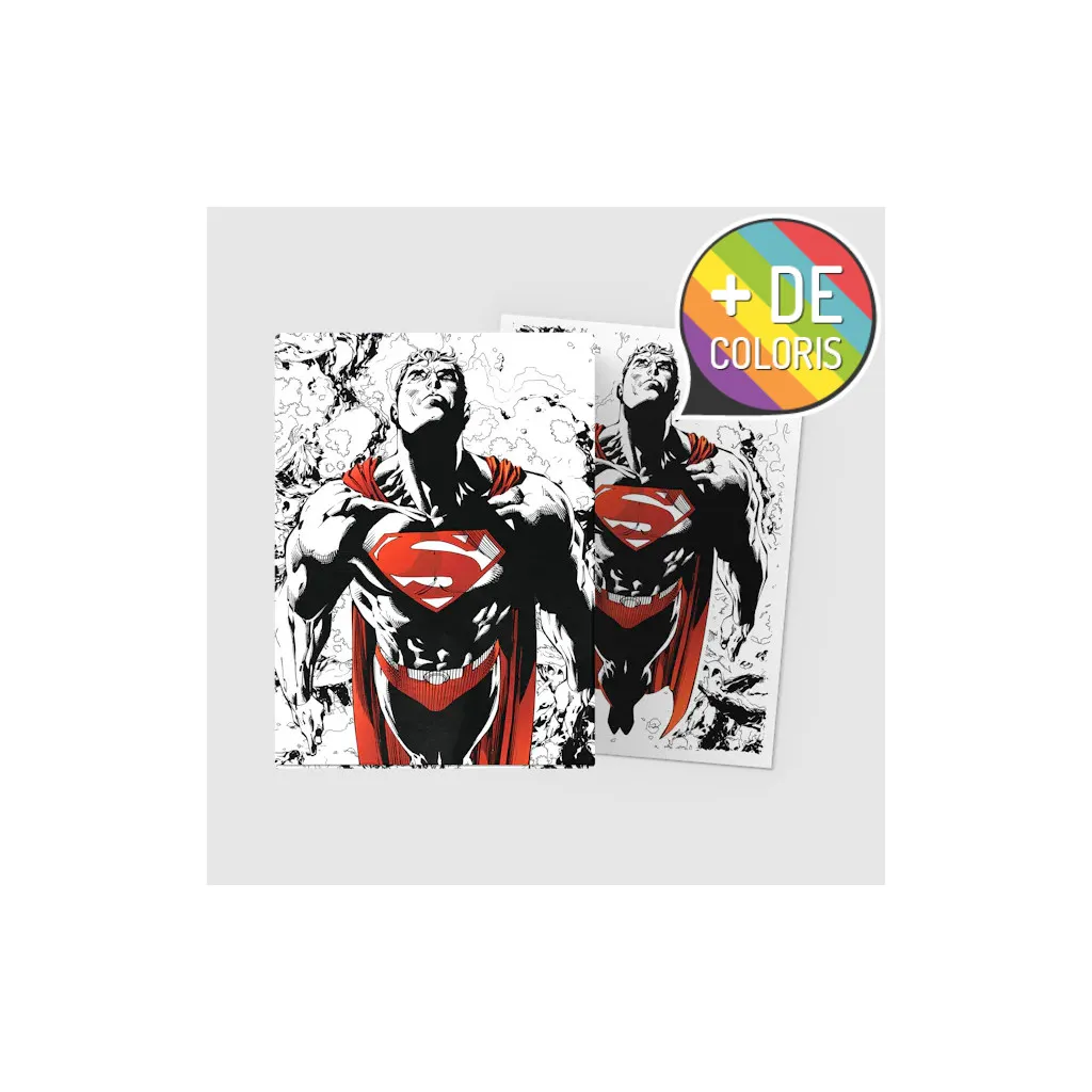 Dragon Shield - Matte Dual DC Universe Sleeves - 63x88 - 100p