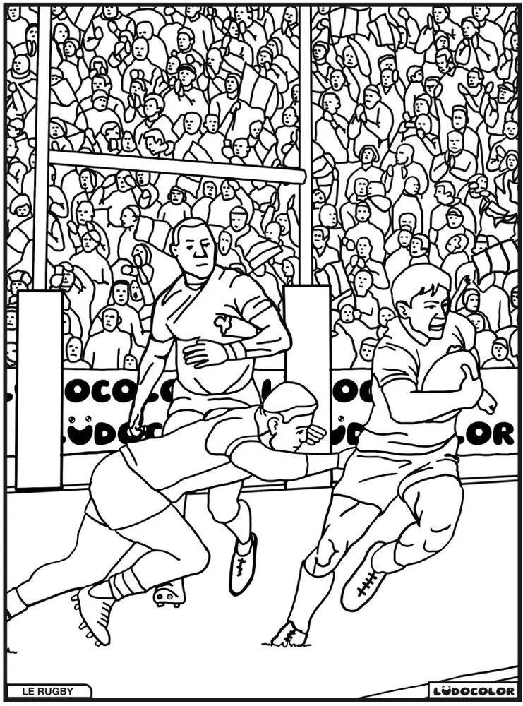 TABLEAU VELOURS LE RUGBY