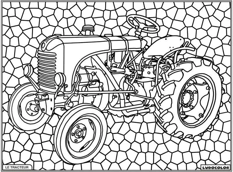 TABLEAU VELOURS LE TRACTEUR