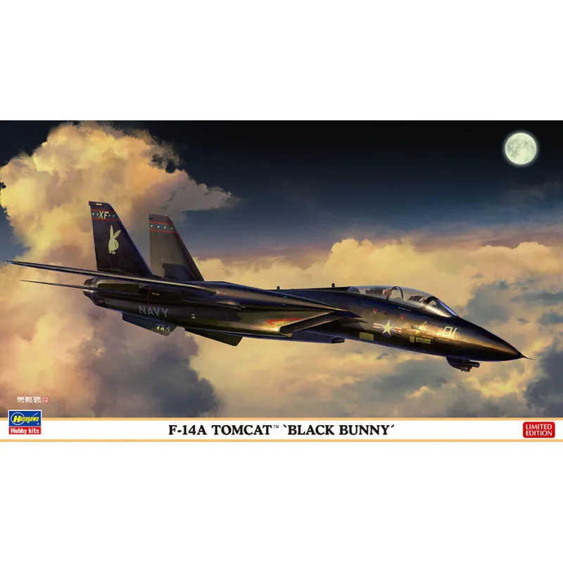 F-14A Tomcat « Black Bunny ». HASEGAWA 02377