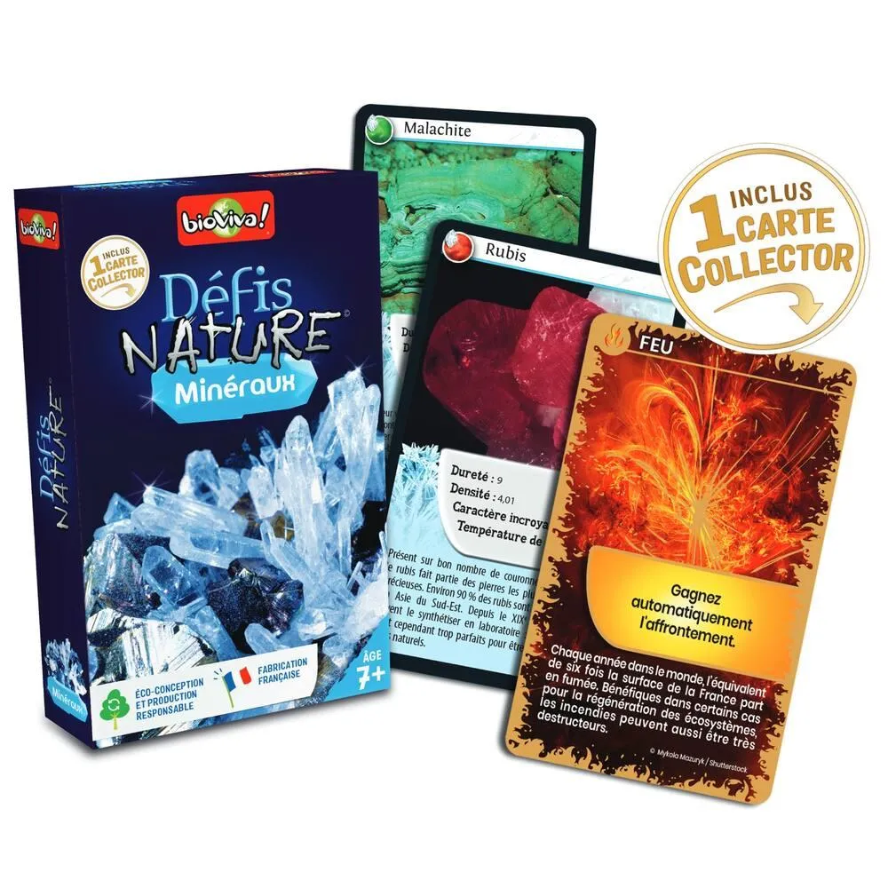 DEFIS NATURE - MINERAUX