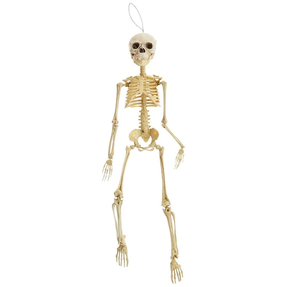 SQUELETTE ARTICULÉ 45 CM EN PVC