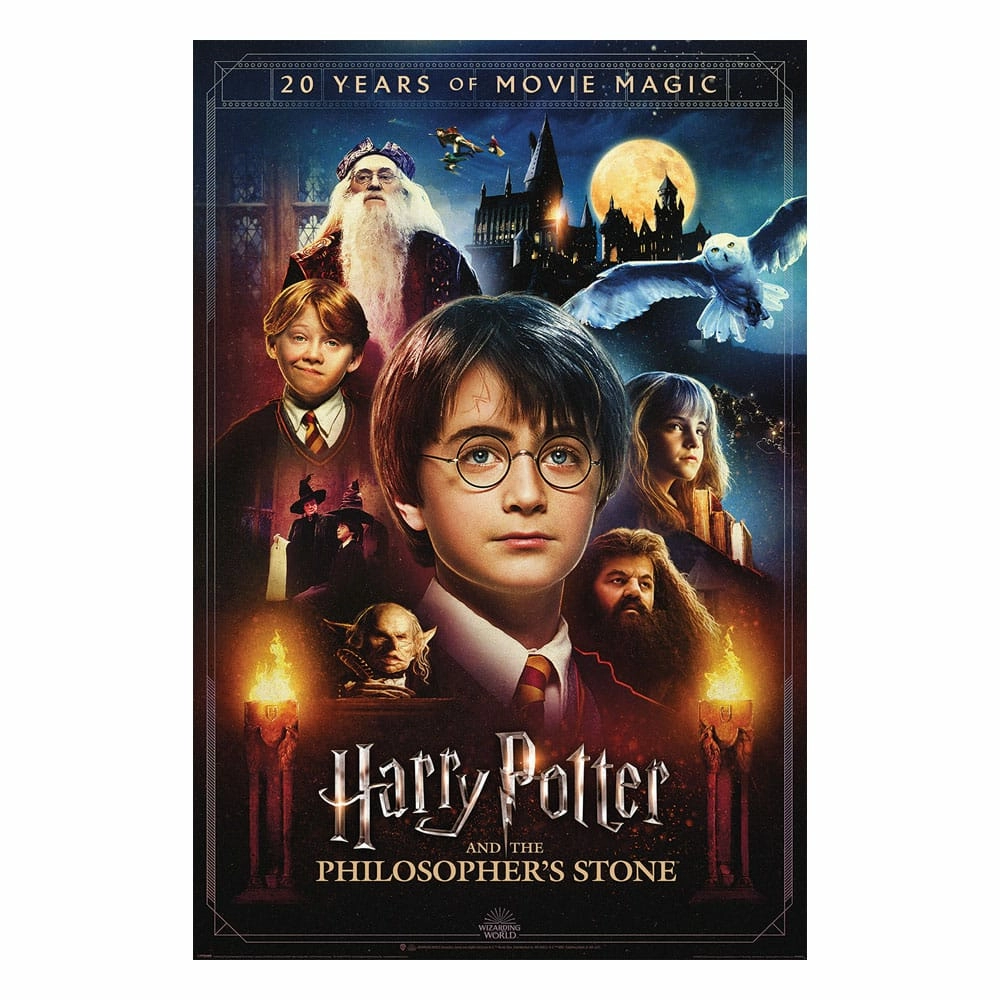 Harry potter - 20 and de magie du cinéma - poster 61x91cm
