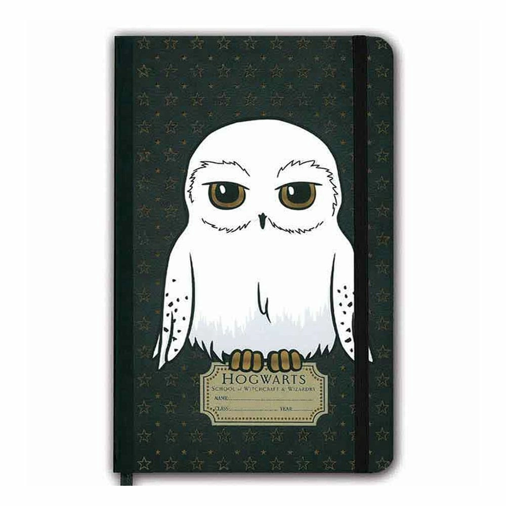 Harry potter carnet de notes hedwig
