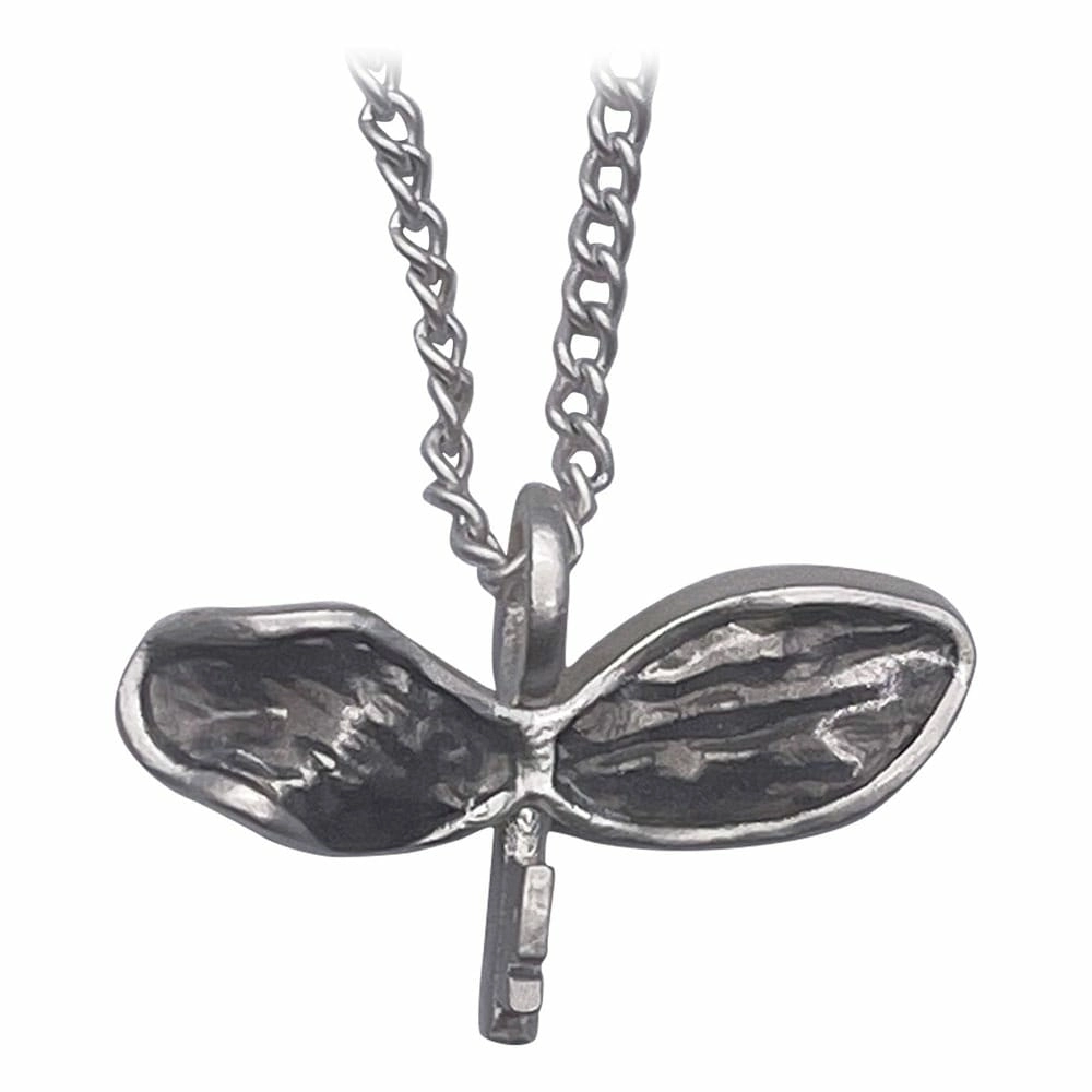Harry potter pendentif et collier flying key