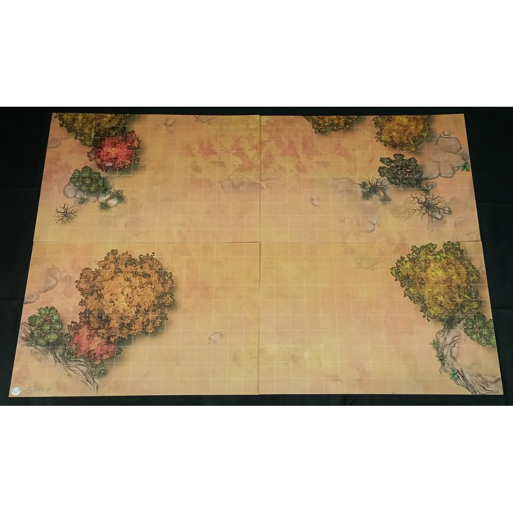 Le désert - battlemap