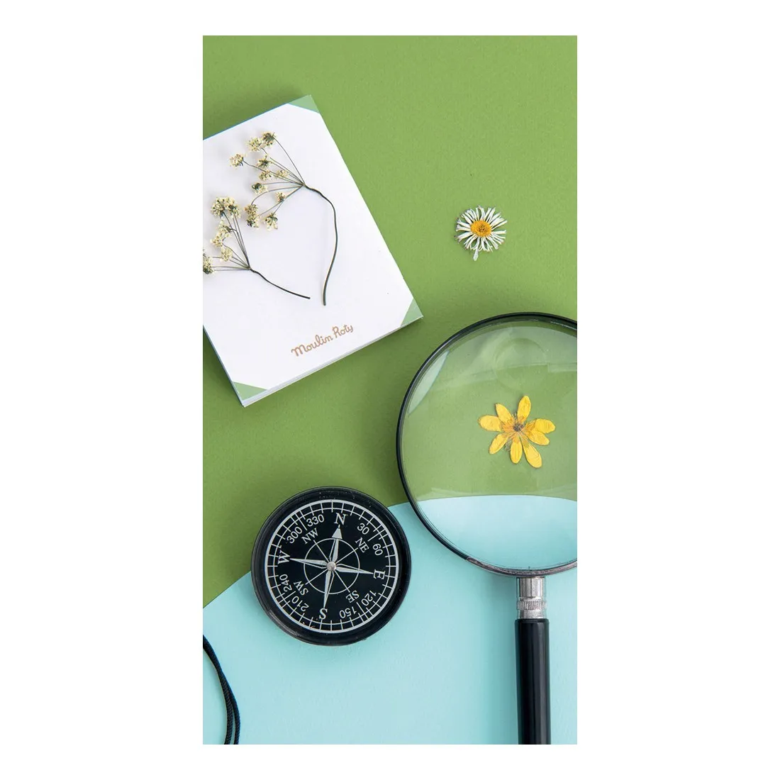 Boussole le jardin du moulin - Moulin Roty