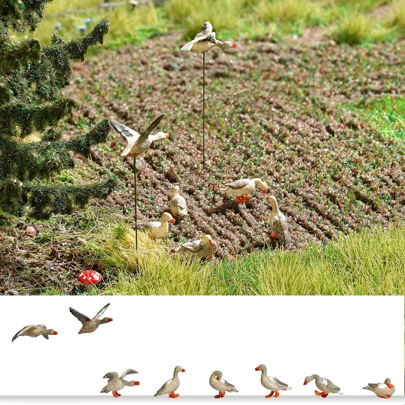 Oies sauvages. BUSCH 1196