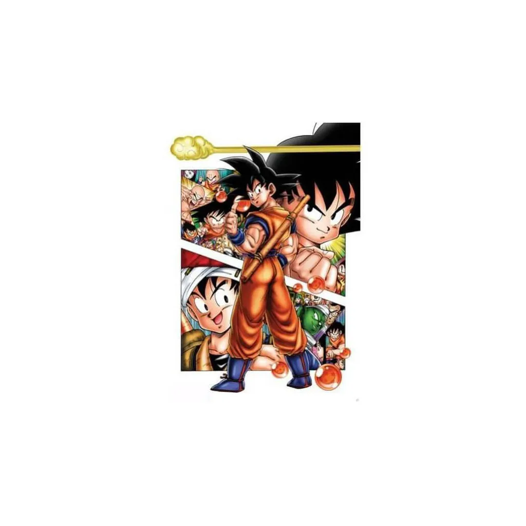 Poster Dragon Ball - Son Goku Story (91,5 x 61 cm)