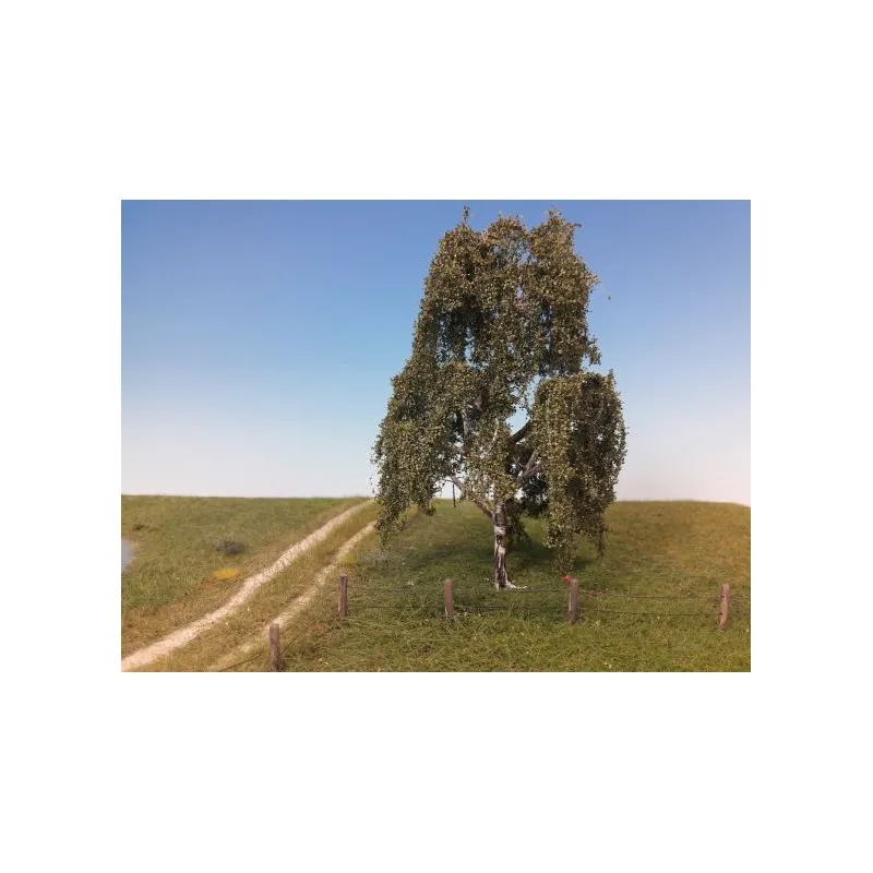 Saule pleureur, en été. MININATUR - SILHOUETTE 211-42