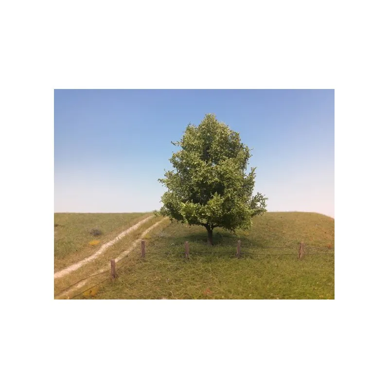 Tilleul, en été. MININATUR - SILHOUETTE 242-42