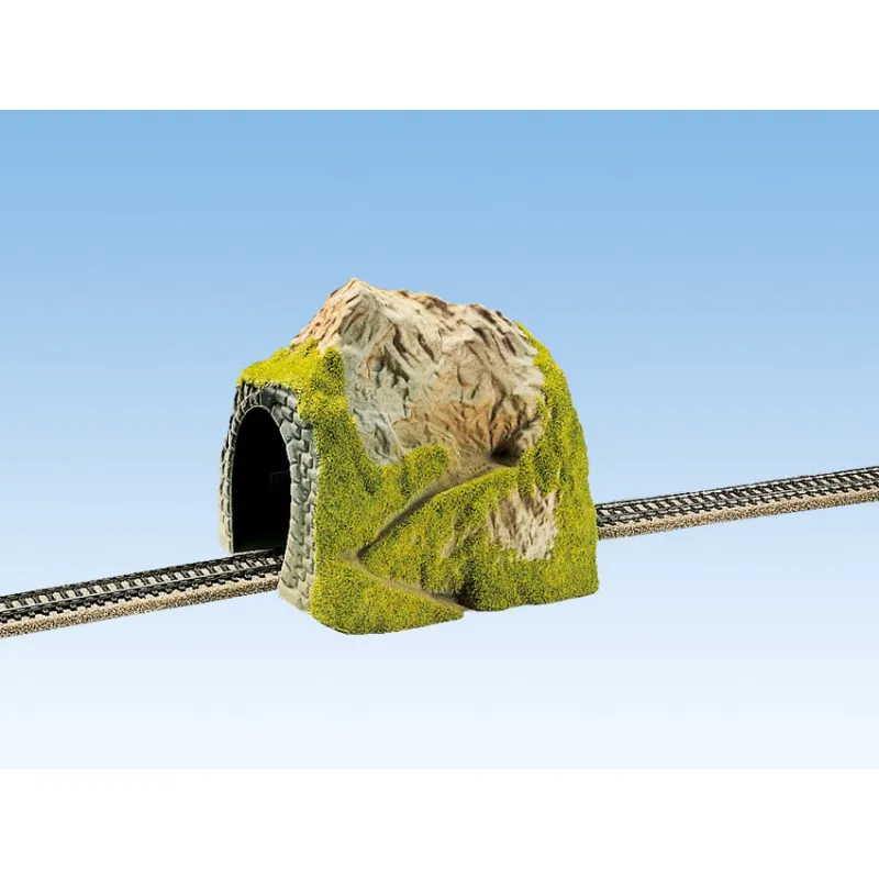 Tunnel, à sens unique. NOCH 02120